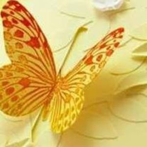 Meet your Posher, Annie